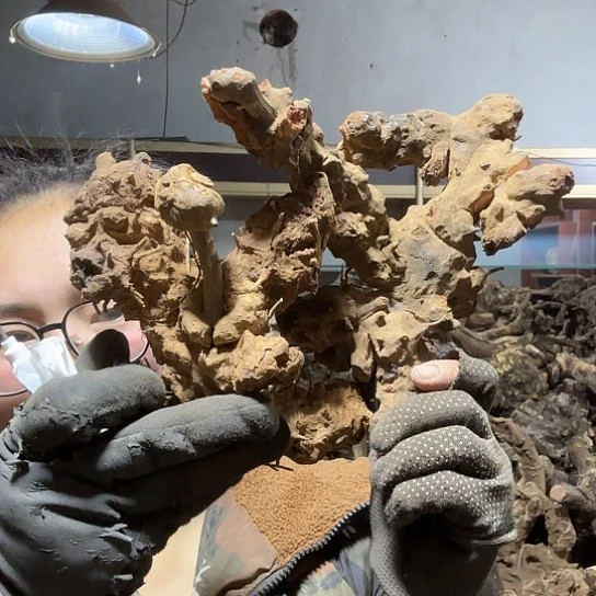 香榧木顺**水火琉璃的毛料baijian