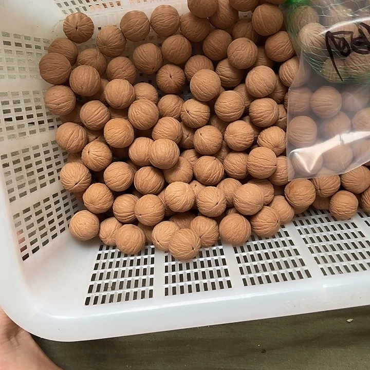 手串猴头核桃聚宝盆散珠50颗