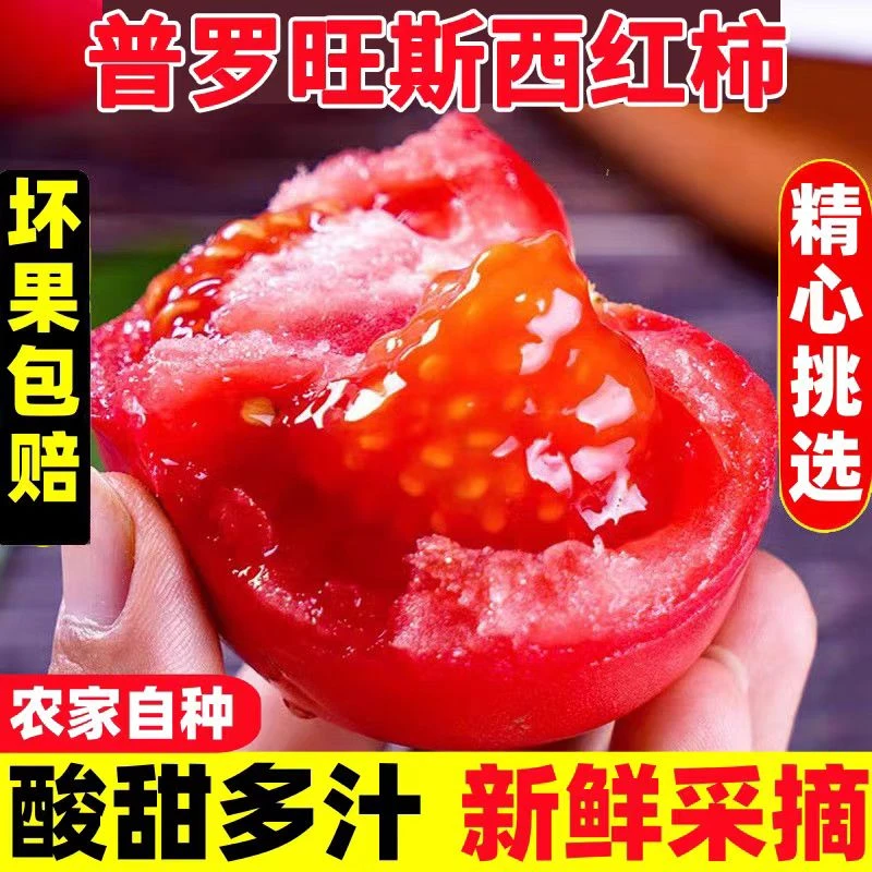 正宗宝坻北马营普罗旺斯西红柿鲜甜可口孕妈儿童可生吃