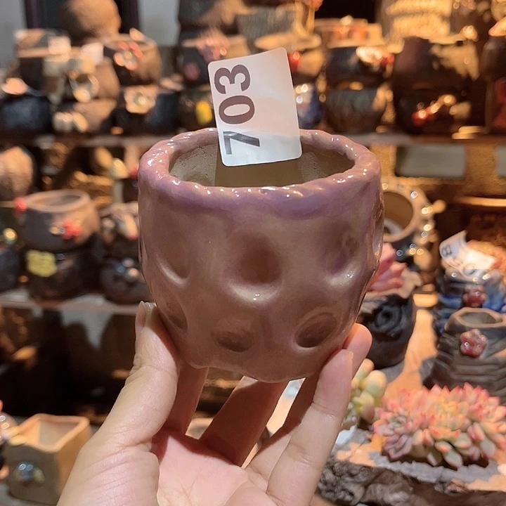 红陶哈哈真的是一个特别