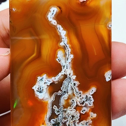 玛瑙/玉髓颈饰未镶嵌鹰**翼