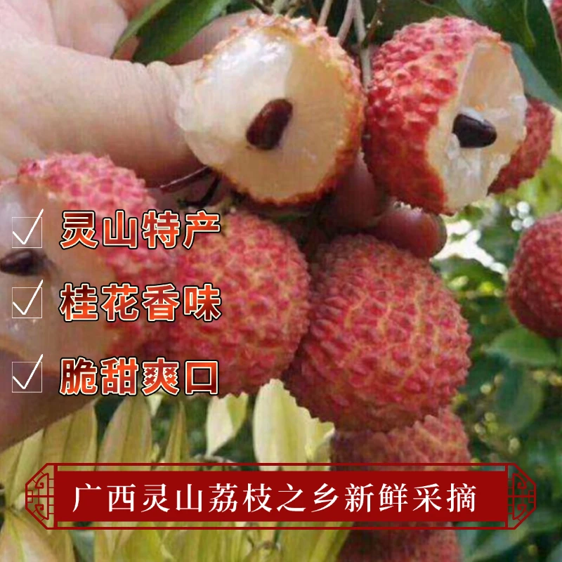 广西灵山荔枝新鲜当季水果老树大果现摘现发