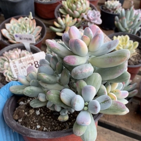 282一一一一一一一