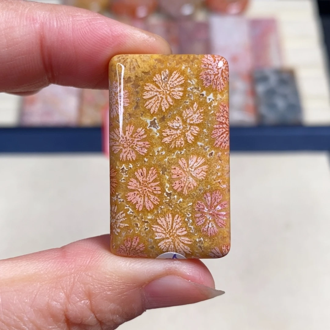 硅化玉未镶嵌吊坠
