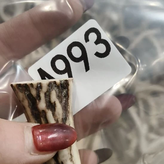 东***~鹿角鹿角鹿角鹿角鹿角