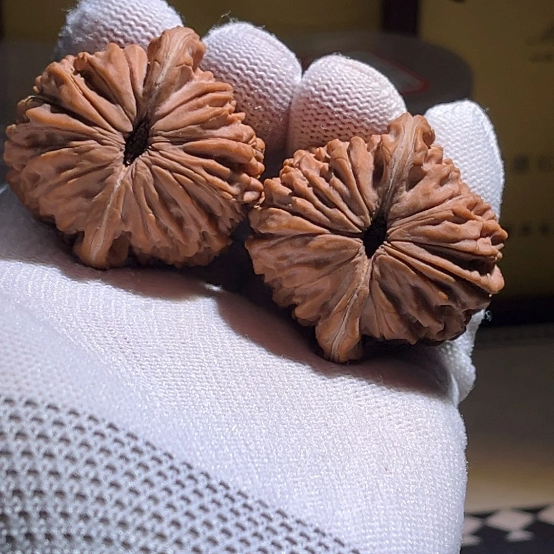 柯***实全品。42极品楼子。全品。