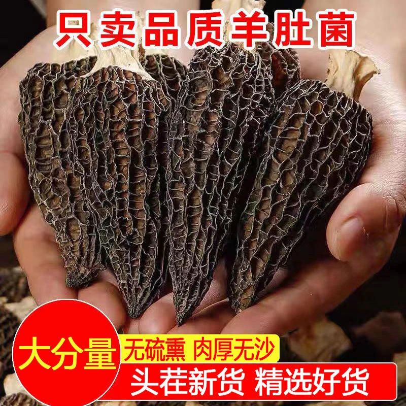 云南特选羊肚菌干货滋补养生煲汤食材纯天日晒菌菇羊肚菇批发价