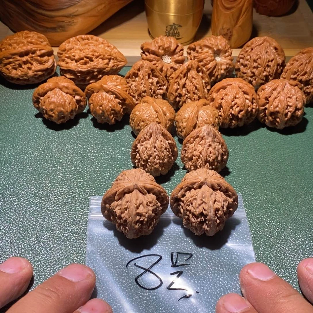 吊坠桃核白狮是最古老