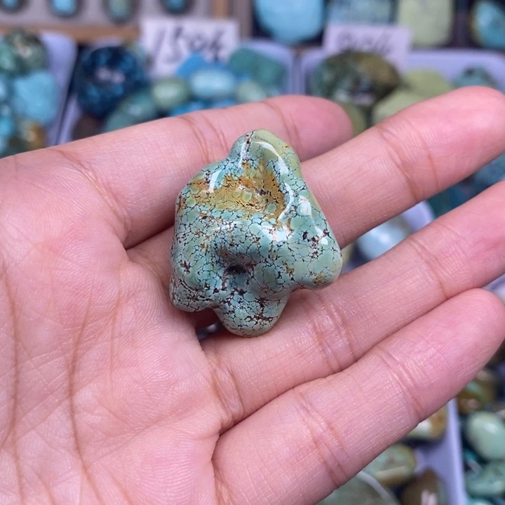 未镶嵌绿松石颈饰
