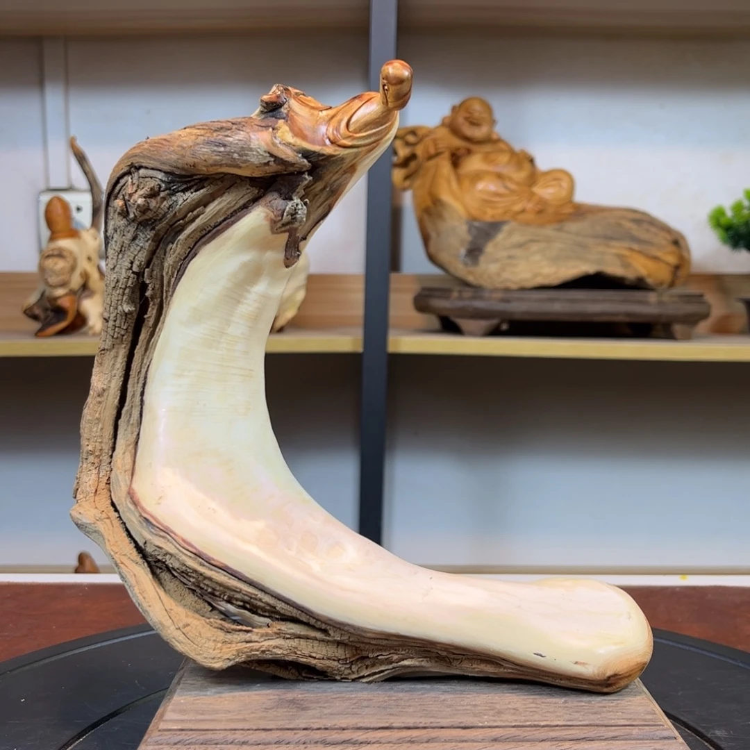 柏木（崖柏）f b h g g g h h n j