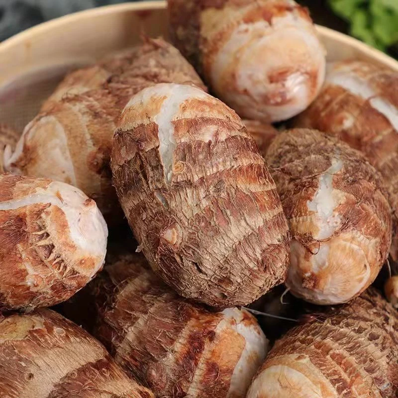 广西红芽小芋头新鲜现挖牛奶非芋头软糯粉香芋仔芋艿蔬菜芋头仔