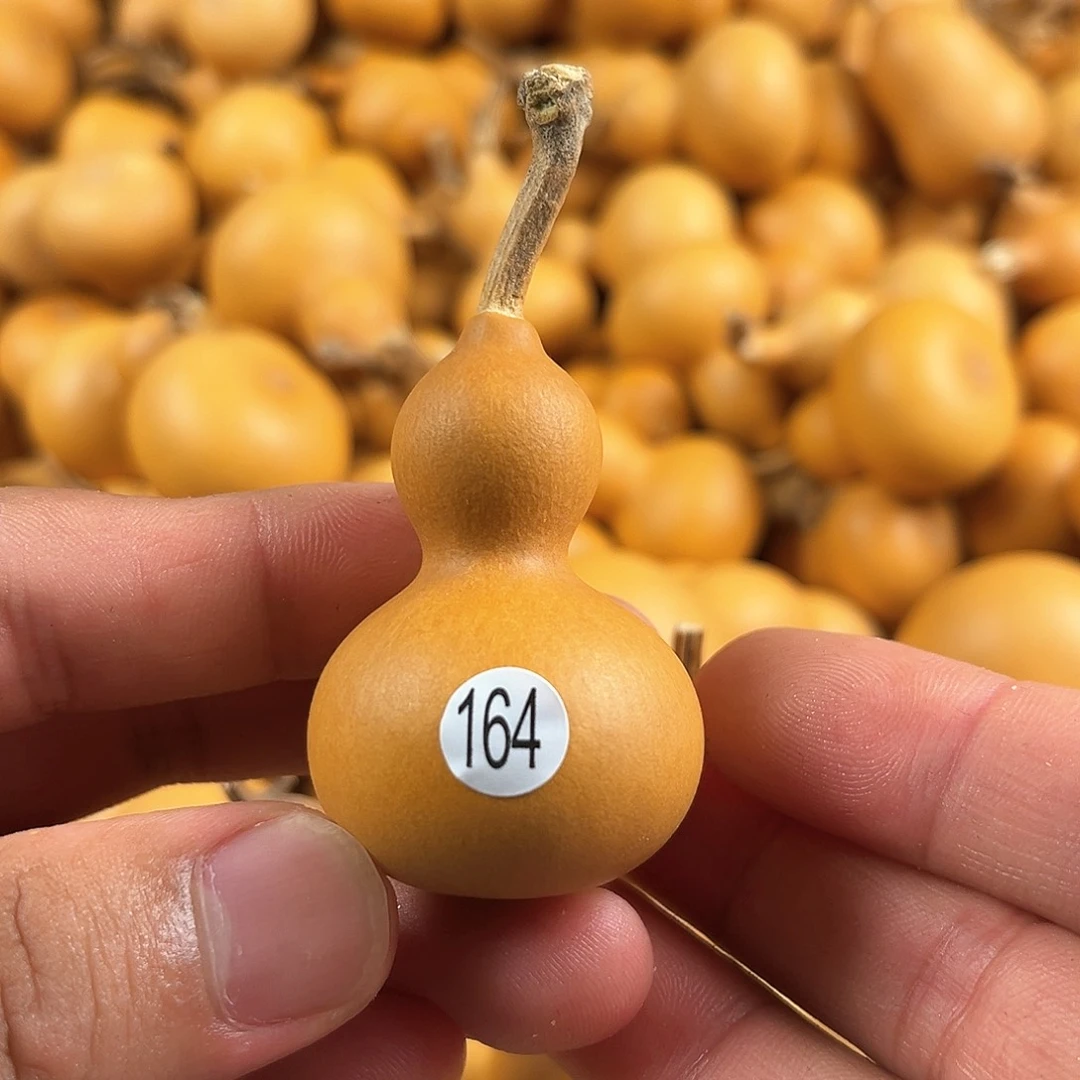 一葫芦葫芦葫芦葫芦164