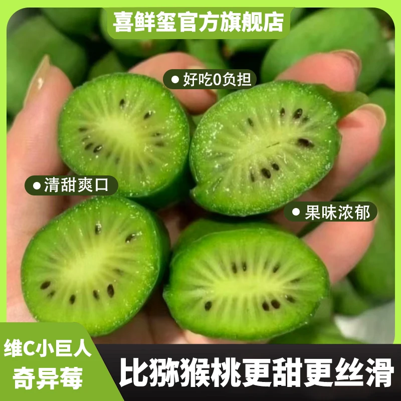 【顺丰发货】树熟软枣猕猴桃龙成2号品种 东北特产奇异莓 香甜多汁