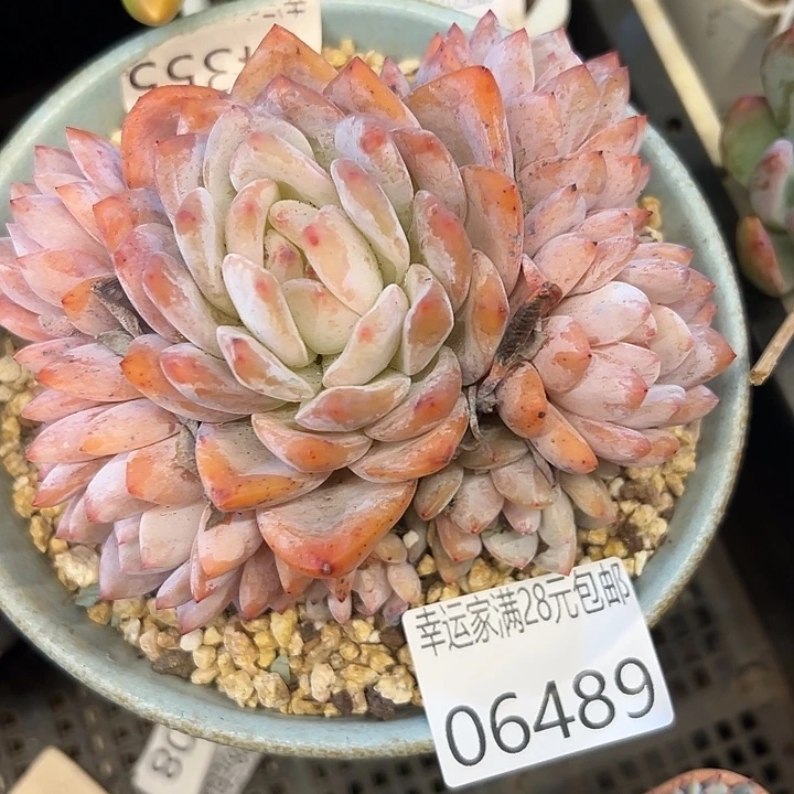 幸运的是我还没遇到过