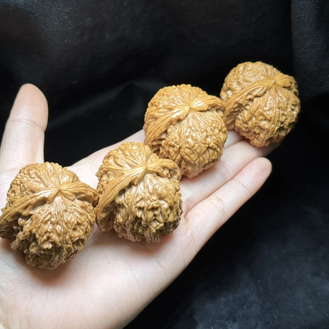 【刘云天专属】 YT52552-核桃打底白狮子-多样性发一件-40mm