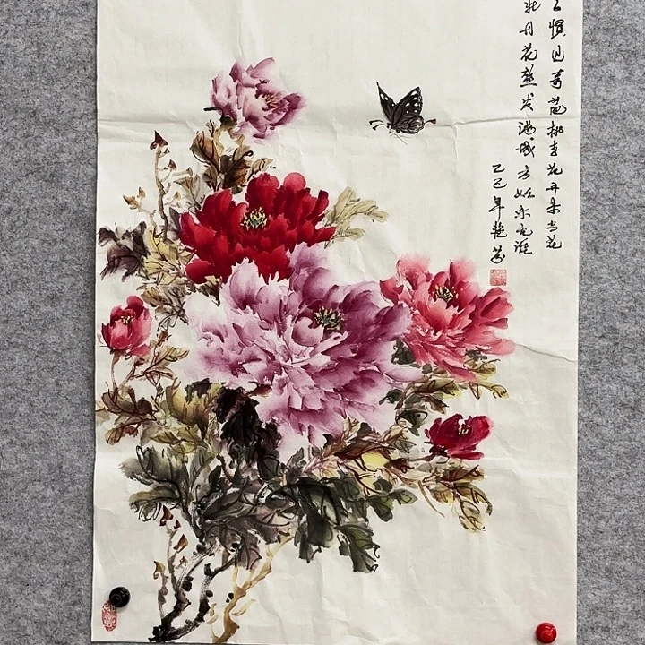 国画花鸟等多种鸟类的栖息地和栖息地