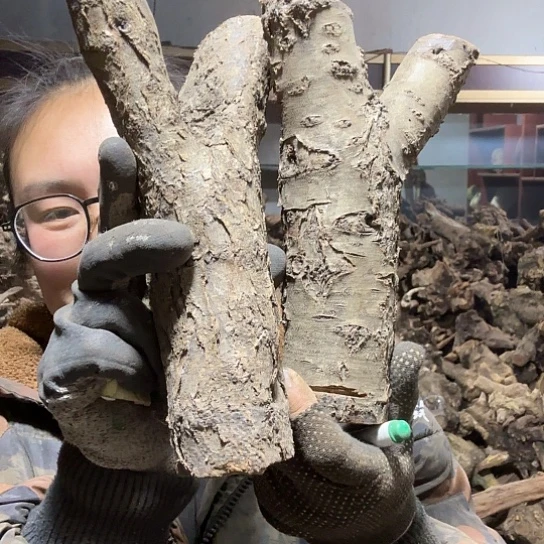 香榧木宾*哥火琉璃的曼联摆件