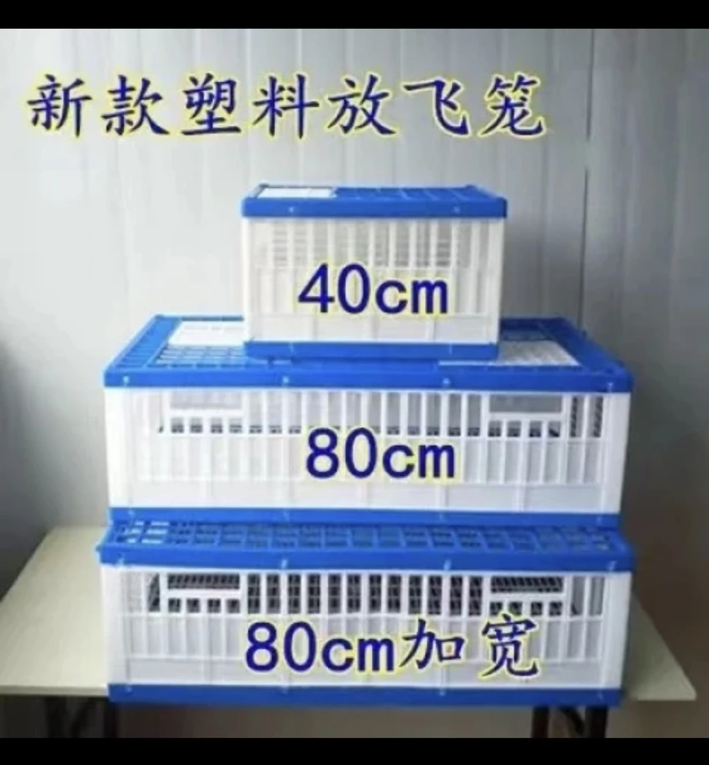 新品鸽子塑料训放笼放飞笼鸽子粮食