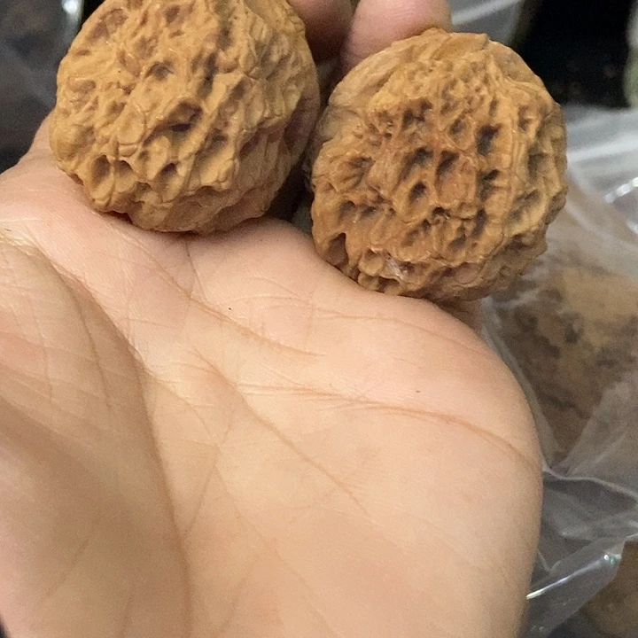 文玩核桃把件云南铁核桃基地94