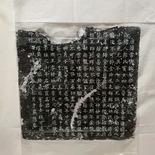 【闪购商品】拓片用纸其他郭瑶