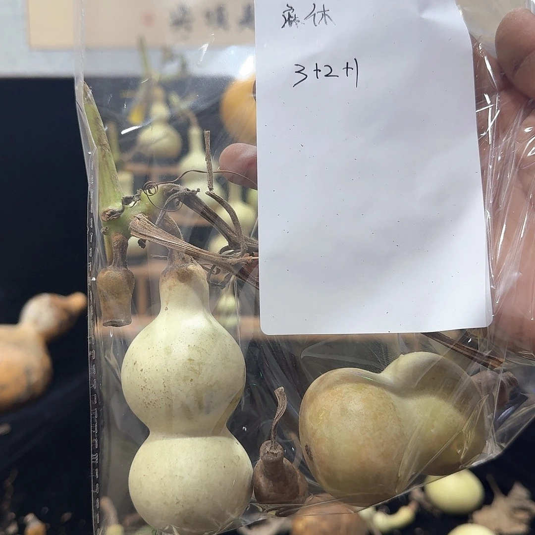 麻***休福利定向定向定向