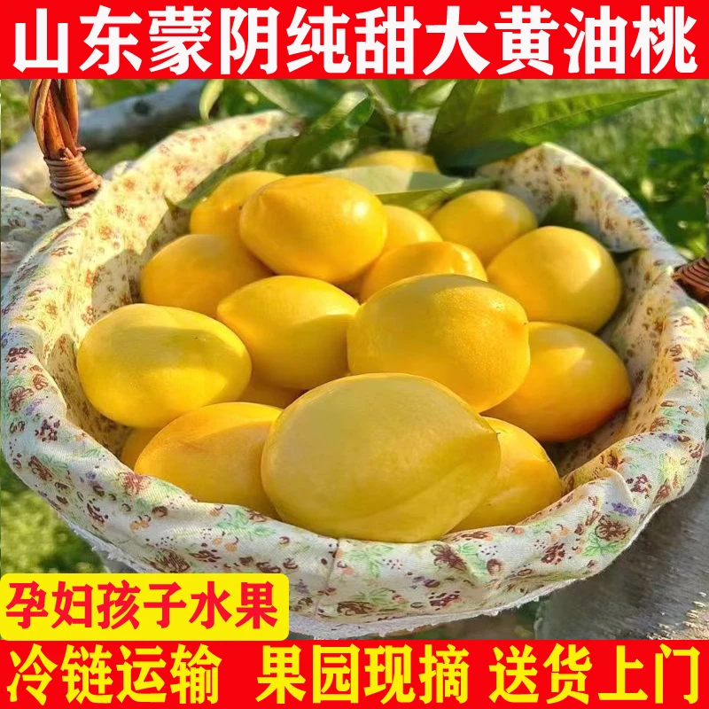 【果园现摘】山东蒙阴黄金油桃软硬纯甜两吃新鲜水果整箱孕妇水果