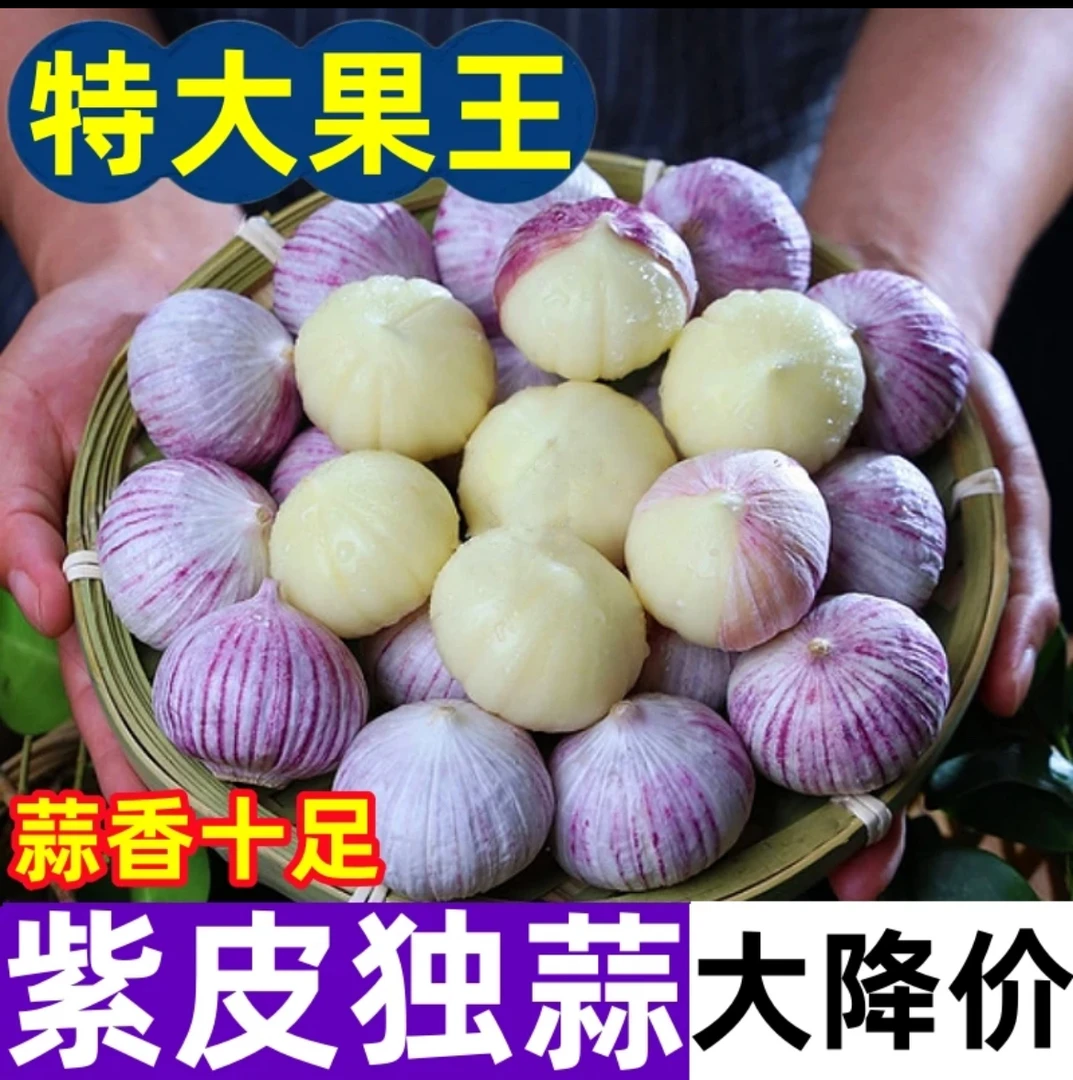 【大甩卖5斤】紫皮独头大蒜头批发辽宁紫皮独蒜特大果农产生鲜特产
