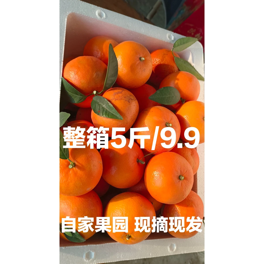 自家果园，十年老树花皮果