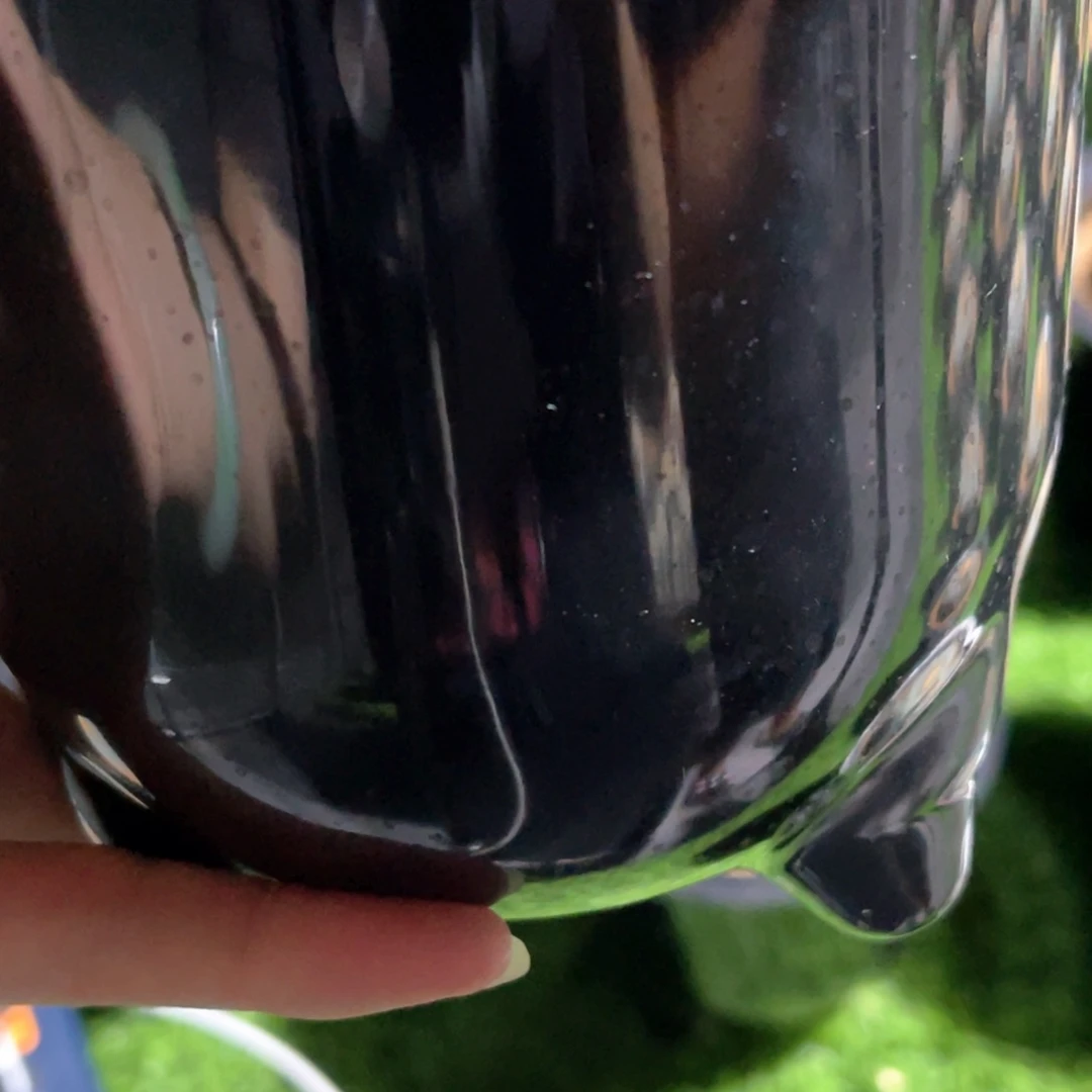 光琳推荐仙人球专拍