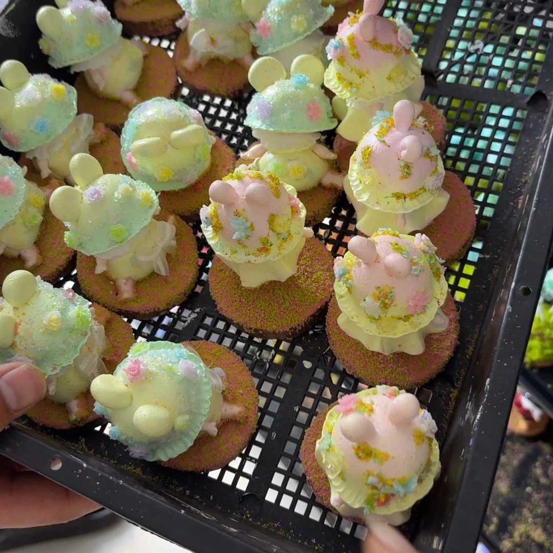 树脂制品25号2个噢噢噢哦哦