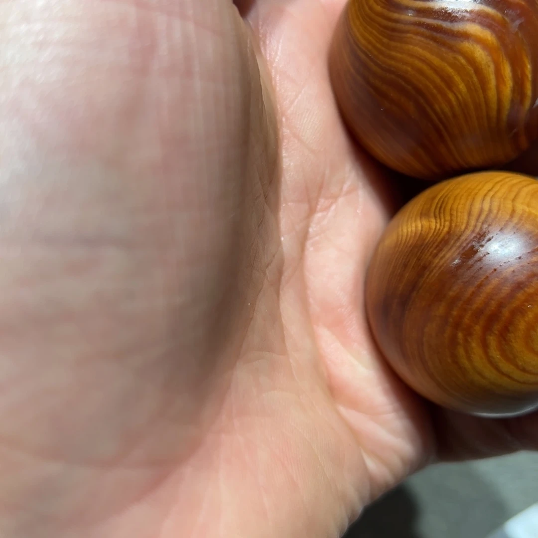 太行崖柏陈化太行