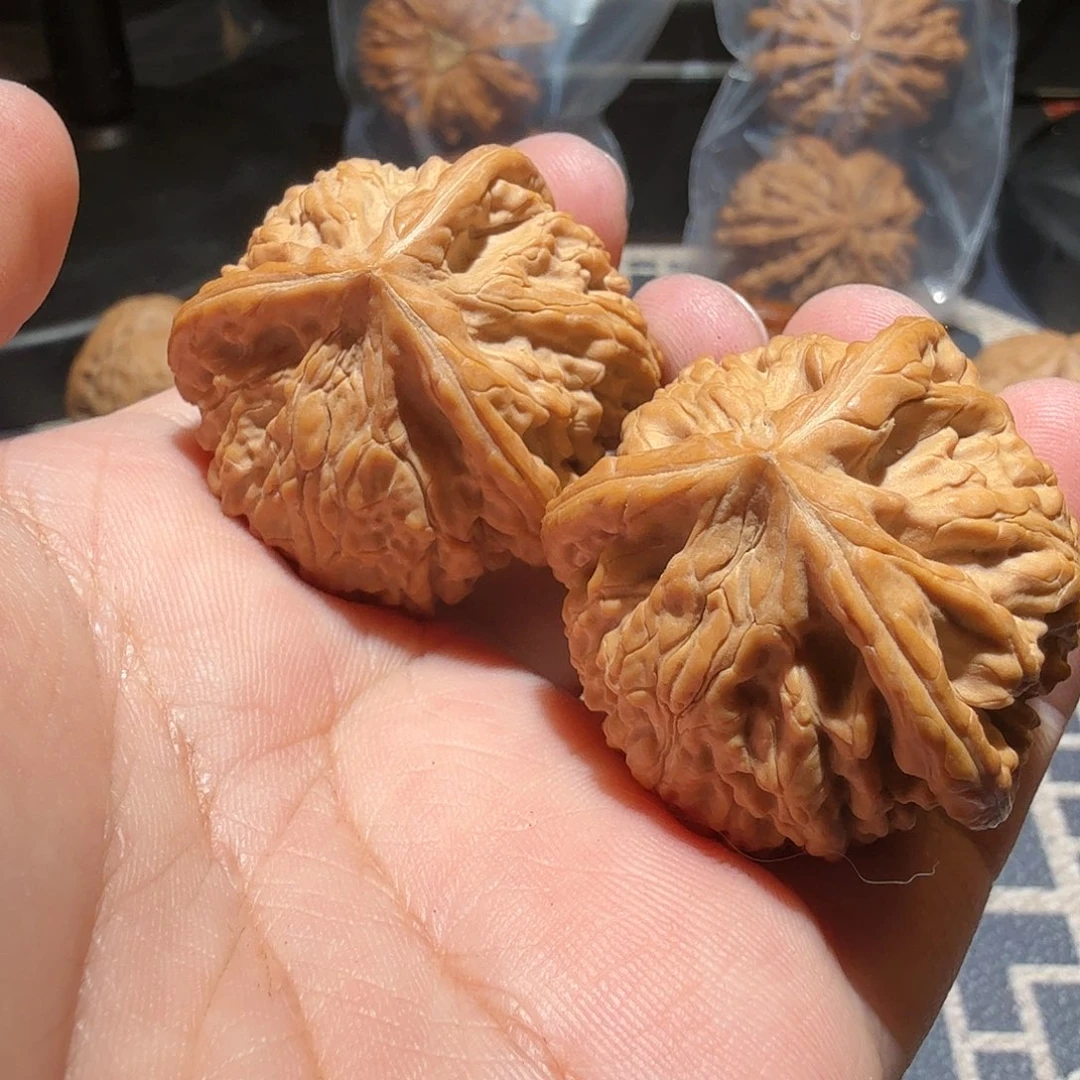 文玩核桃把件御龙