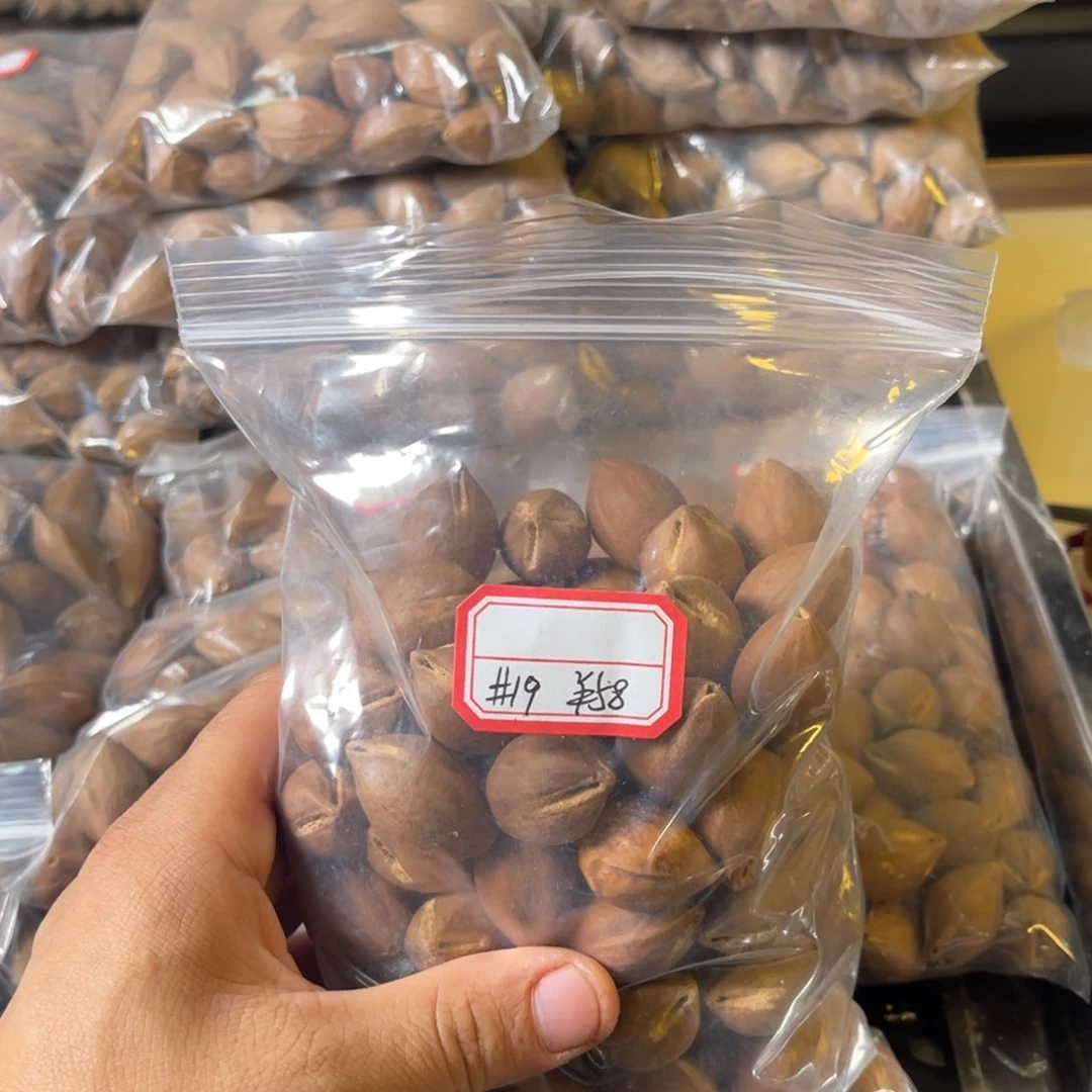 吊坠龙脊菩提阳*
