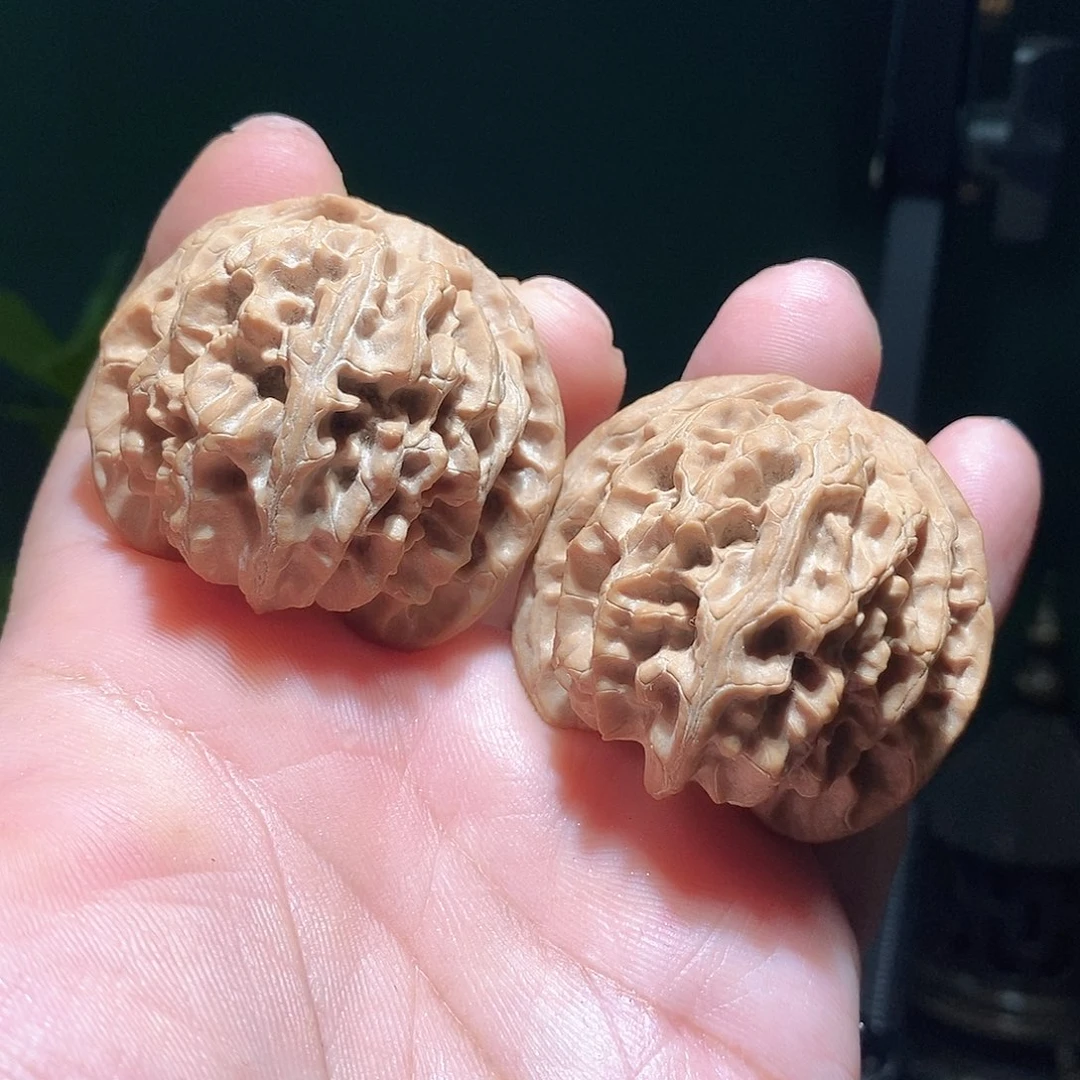 把件文玩核桃44苹果圆全品