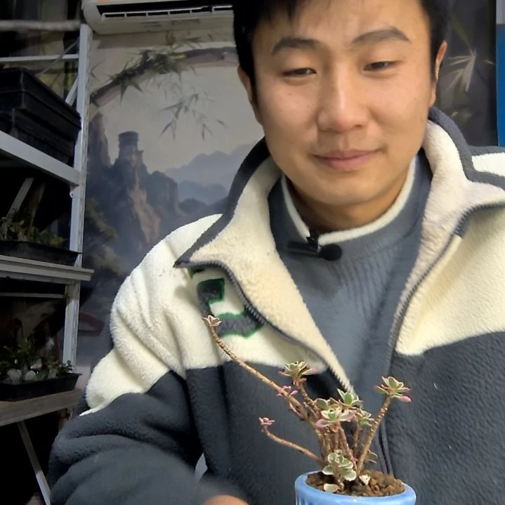 s***r中青园艺一物一拍花208