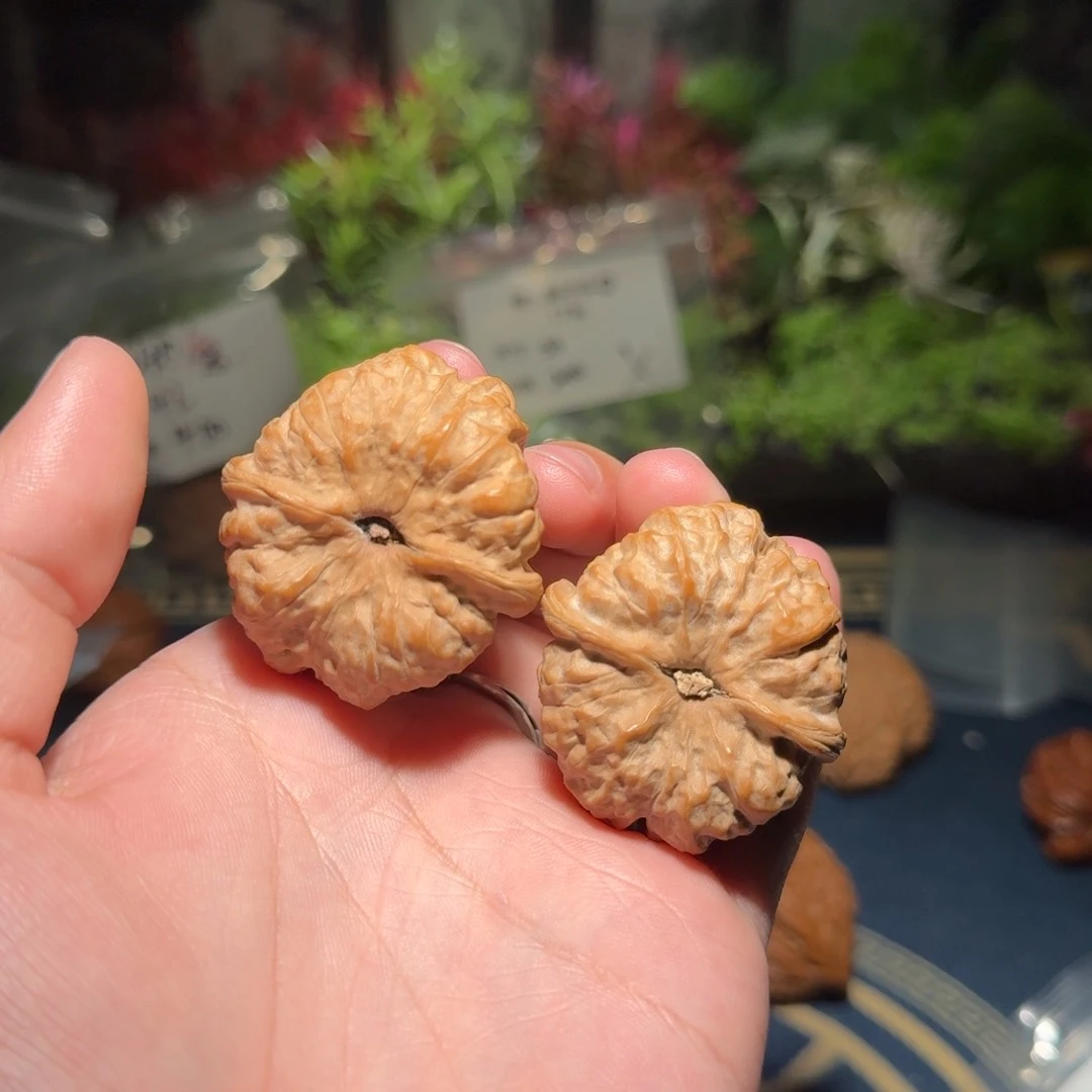 L*H708号40蛤蟆头蛤蟆头蛤蟆头