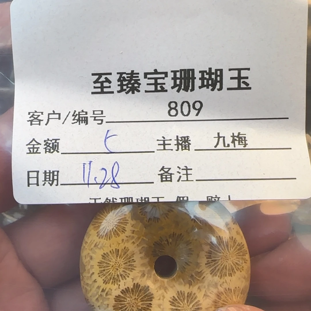 ****️硅化珊瑚（珊瑚玉）未镶嵌颈饰