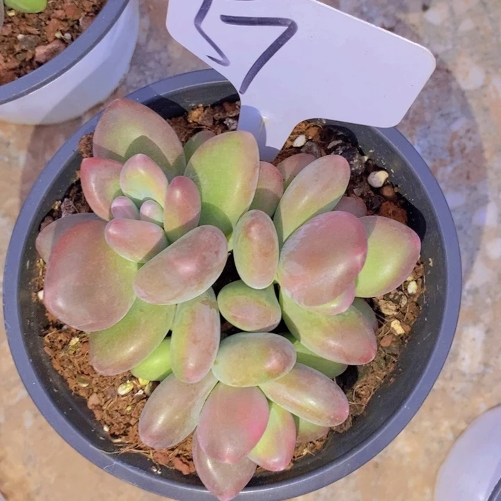 这个点就不睡觉还