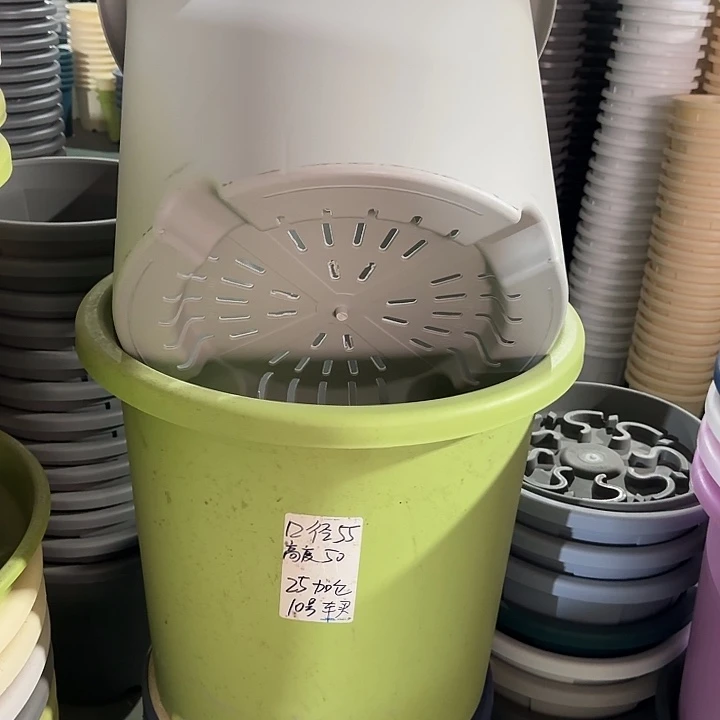 微瑕55口无托果绿2个