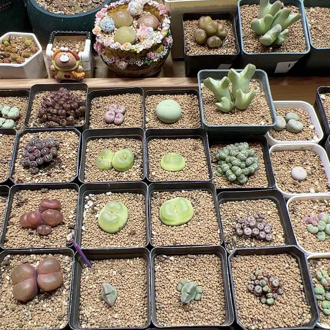 【闪购商品】是***～361+189 一起