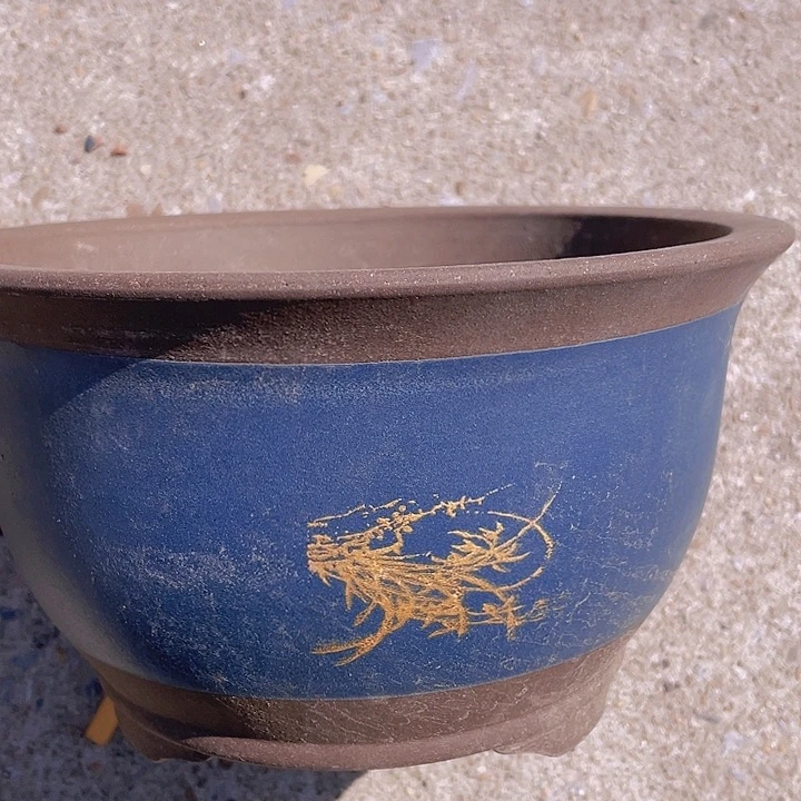 紫砂宜兴紫砂116