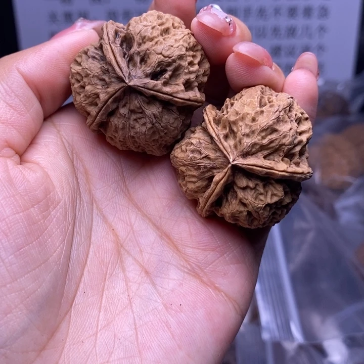 核桃云南野生铁核桃22号35mm