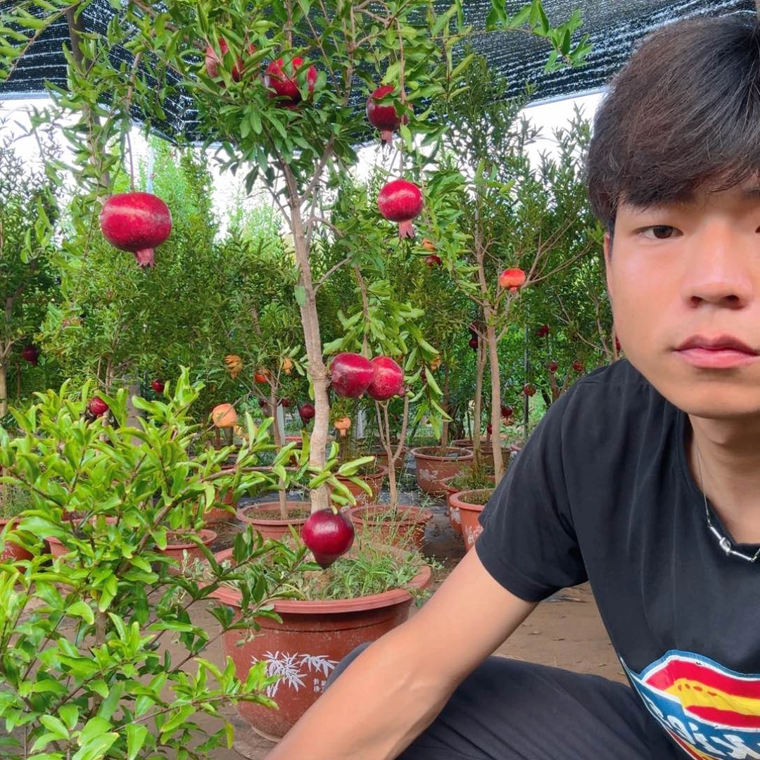 无花朵好过分的地方就好