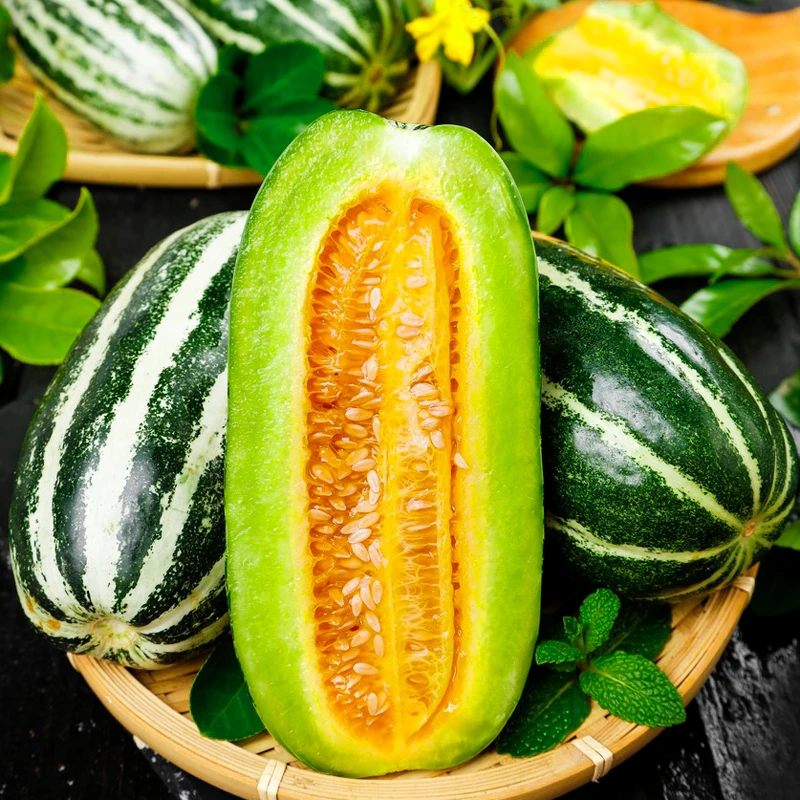 【脆甜爽口】河南博洋9号甜瓜新鲜当季香瓜蜜瓜带箱5斤装