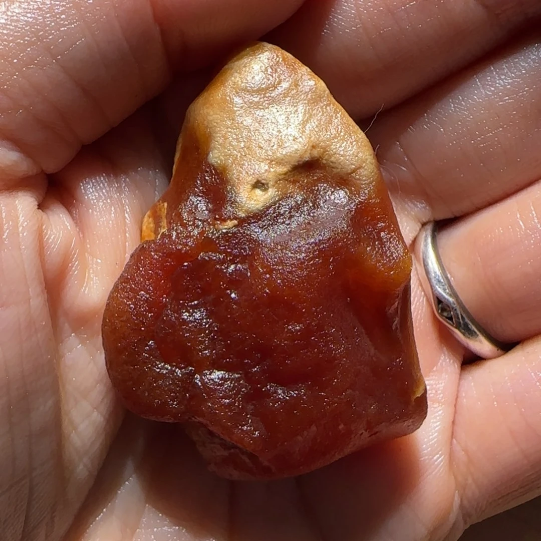 定制琥珀未镶嵌?**✨专拍