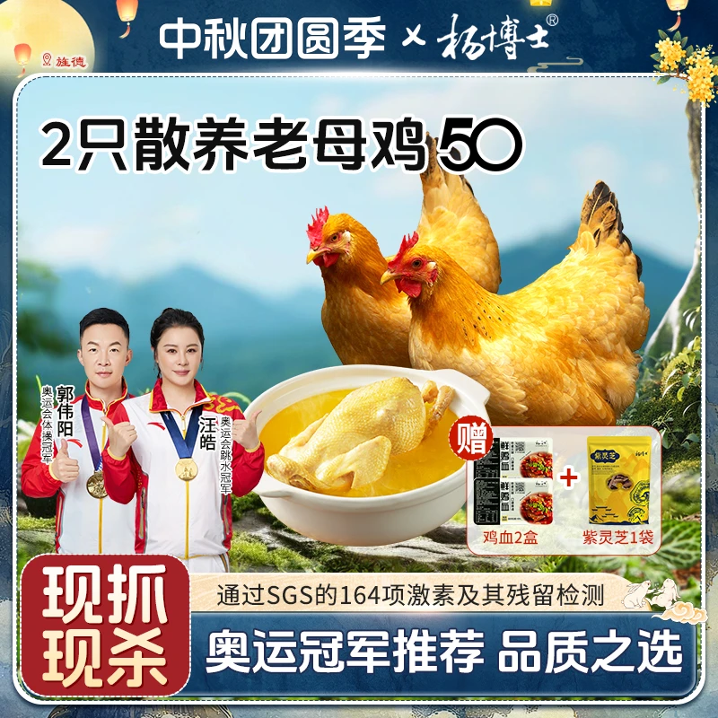 【两只老母鸡（50型-原老款）】杨博士散养土鸡新鲜现杀 包冰率不含冰
