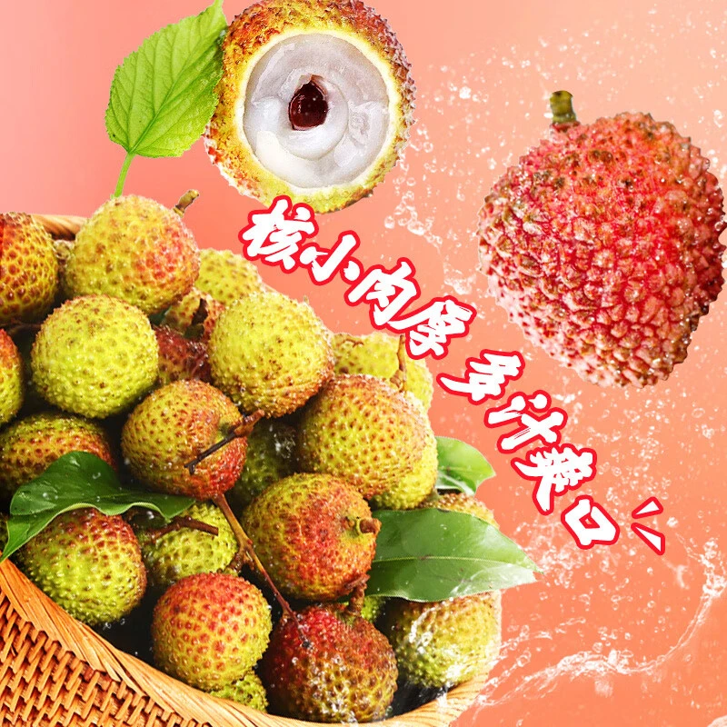 【顺丰/京东】广东妃子笑荔枝1-5斤新鲜头茬现摘核小肉厚香甜rdxx