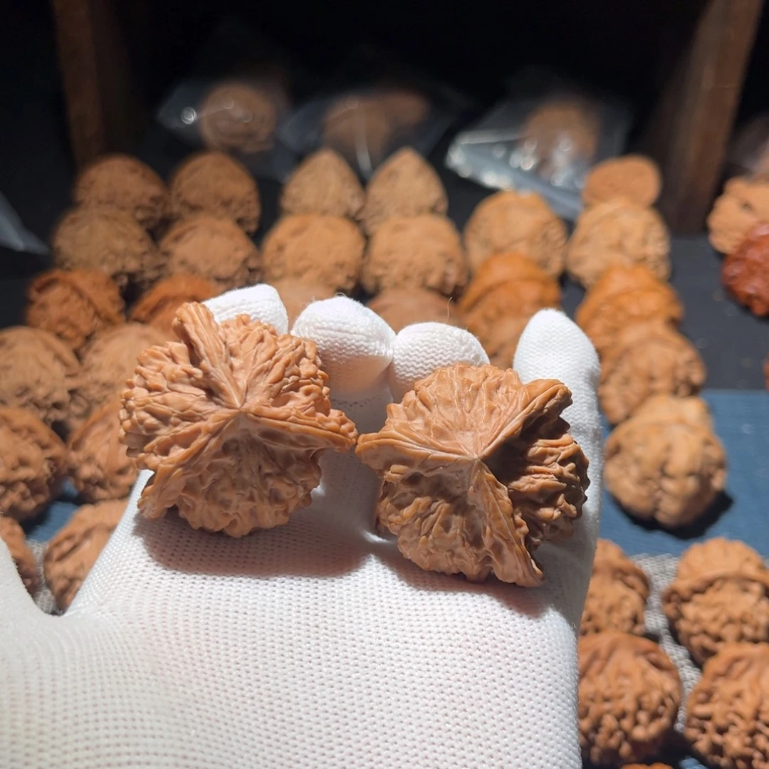 核桃41全品盘山正奔