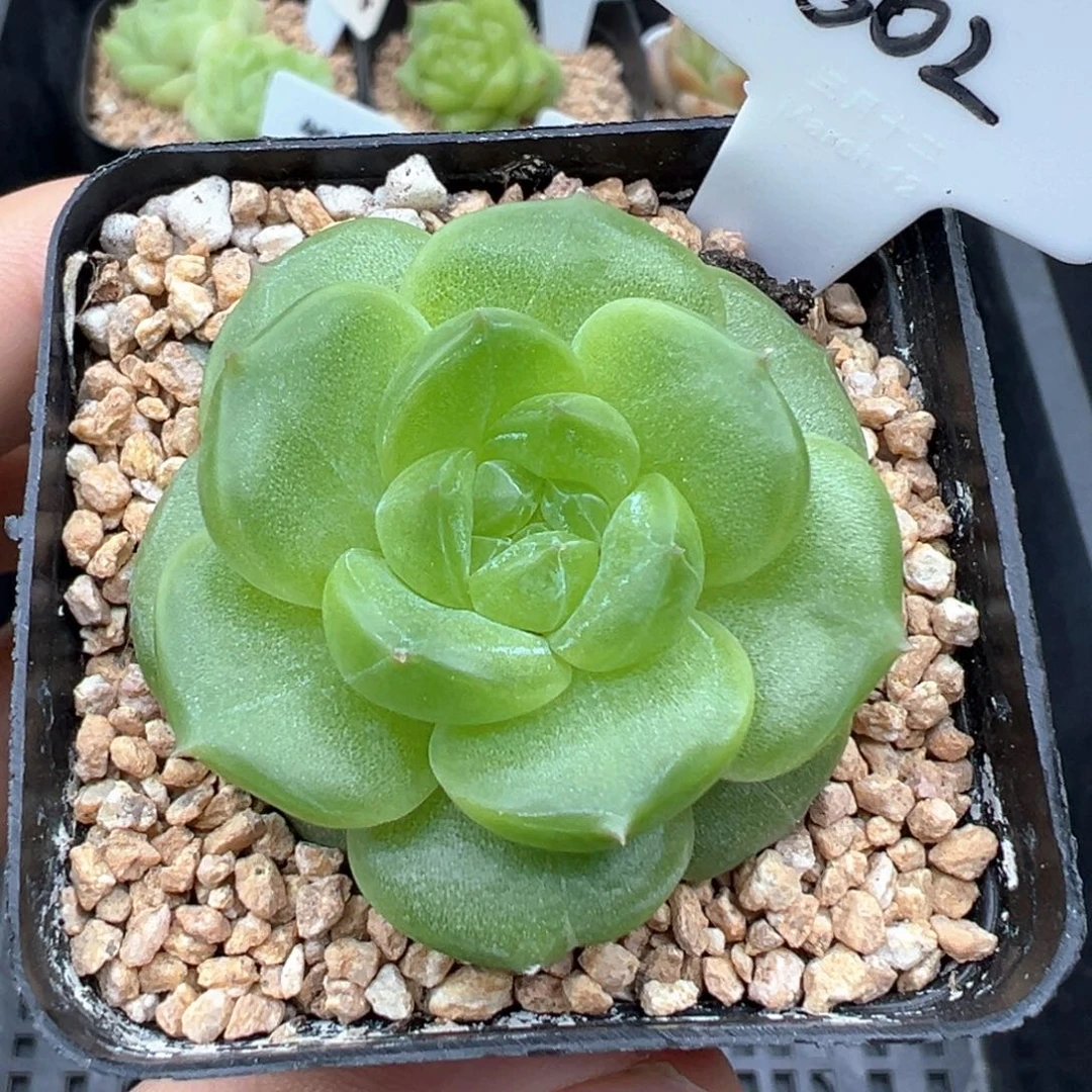 502号啊啊啊啊啊啊啊啊啊