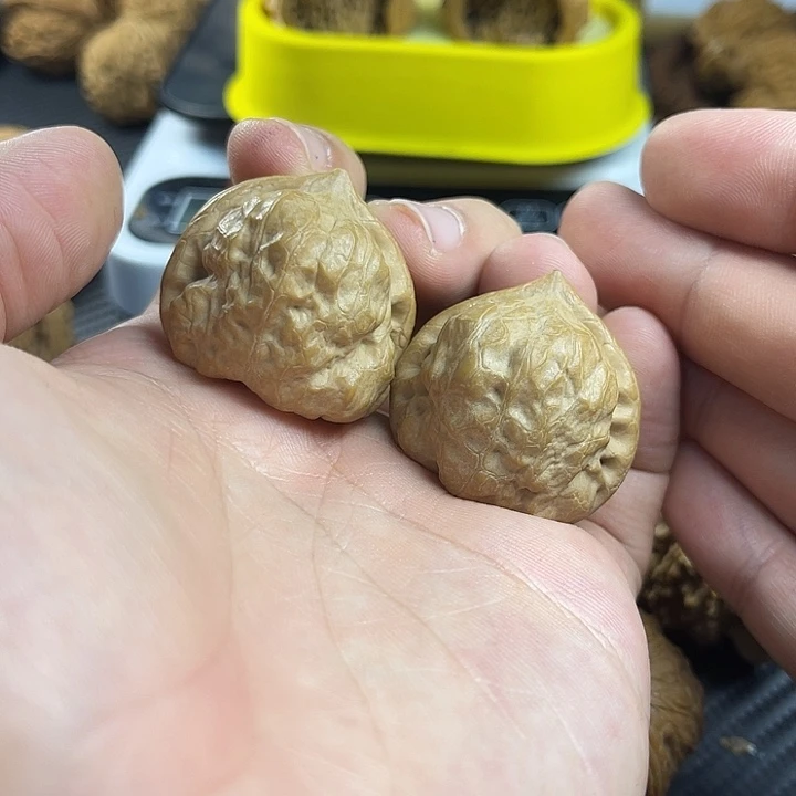 文玩核桃把件34古蟾全品